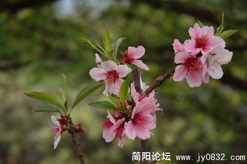 DSC_8793.JPG