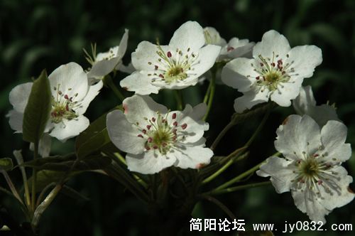 DSC_8644.JPG