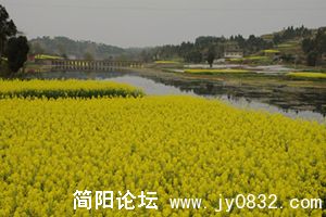 DSC_8427.JPG