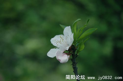 DSC_8792.JPG