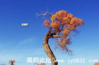 QQ截图未命名.jpg