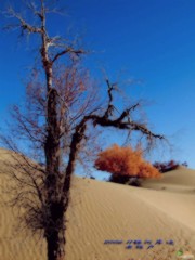 20070928_0ef1b0ec0b08872c23d0cb3bkDReTagd.jpg
