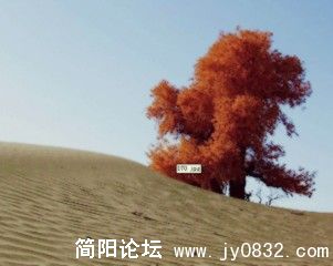 QQ截图未命名1.jpg