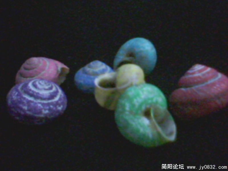 IMG0091A.jpg