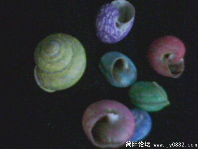 IMG0093A.jpg