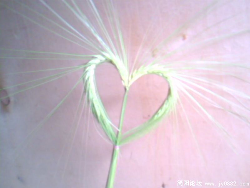 IMG0088A.jpg