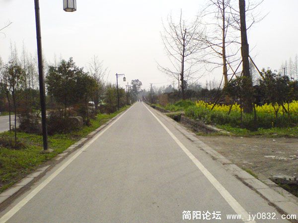 DSC01310.jpg