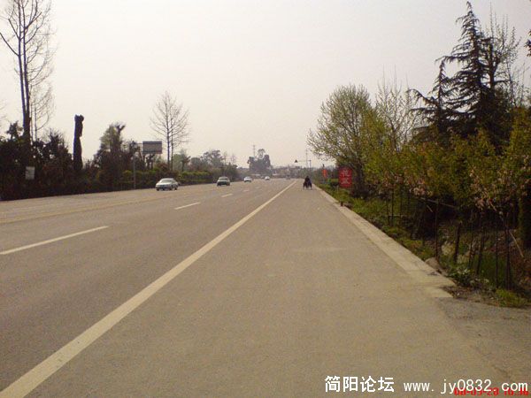 DSC01314.jpg