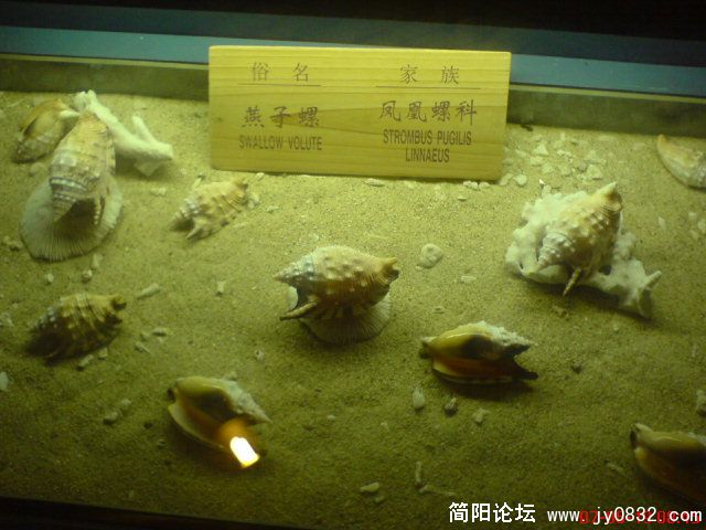 DSC00436.JPG