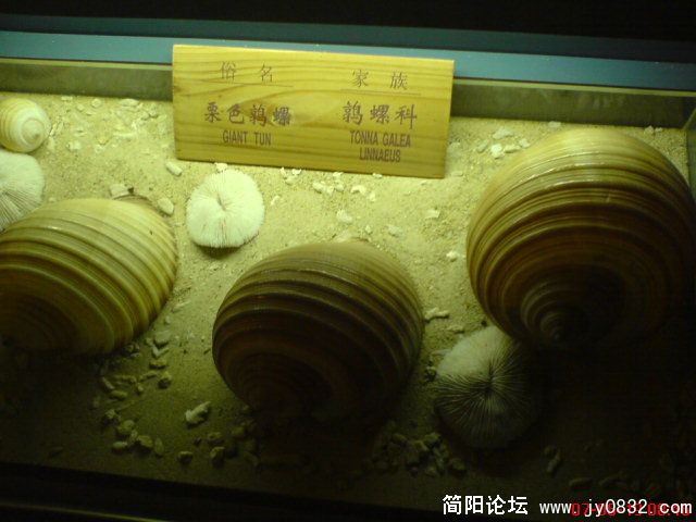 DSC00442.JPG