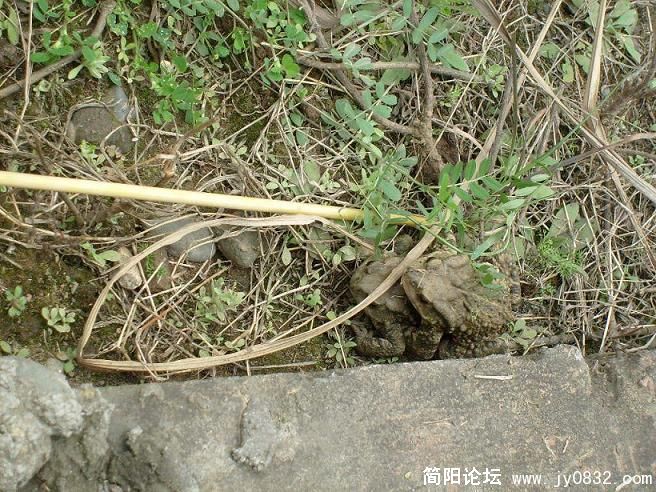 醉时？？