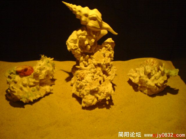 DSC00435.JPG