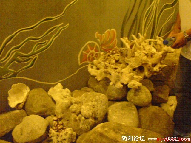 DSC00432.JPG