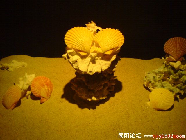 DSC00439.JPG