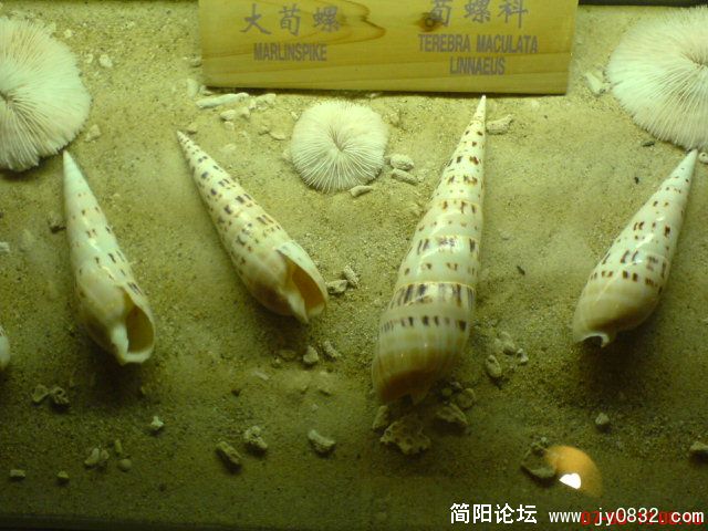 DSC00444.JPG