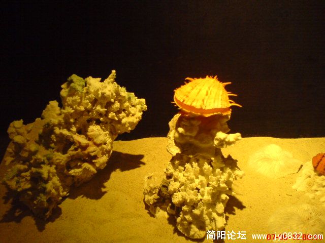 DSC00434.JPG