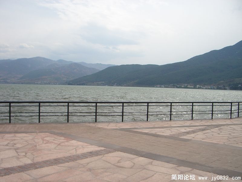 IMGP3663.jpg