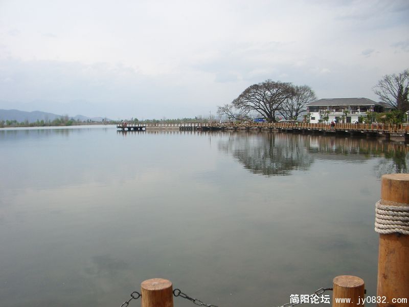 IMGP3649.jpg