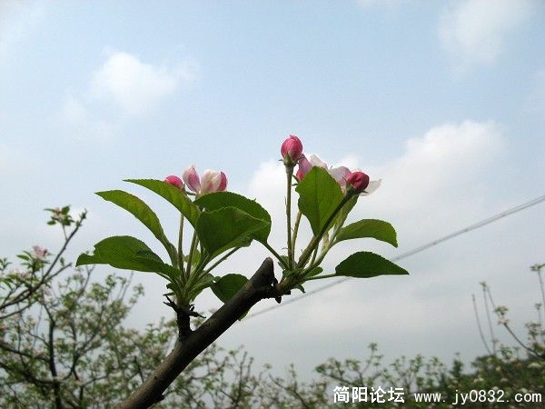 IMG_1481.jpg