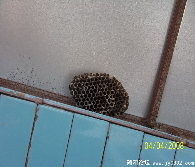 在07年全市人民的喊打声中一去不复返