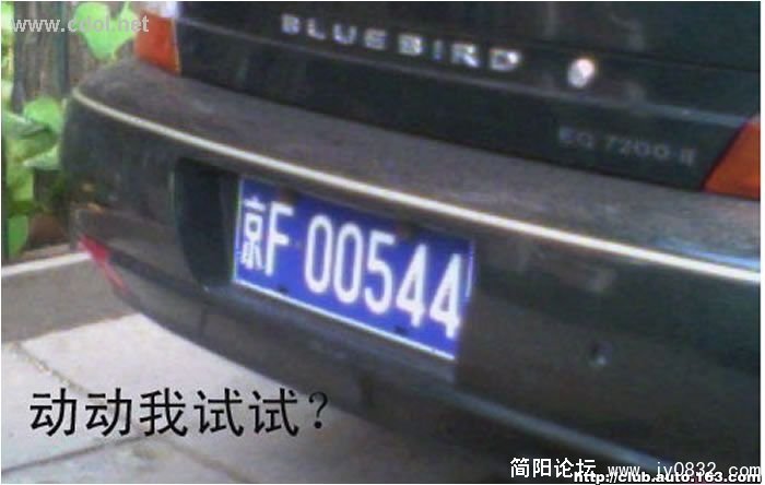 动董我试试