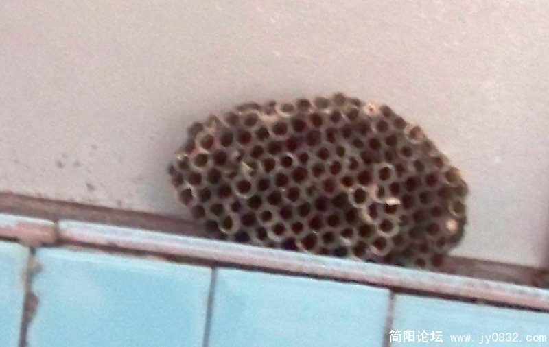 人去楼空