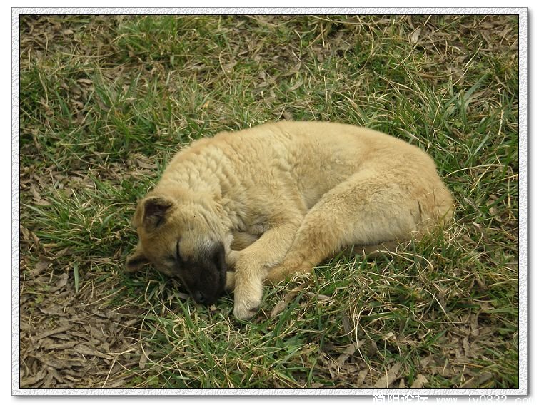 zzzz.JPG