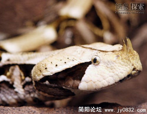 20080405121336ed23b.jpg