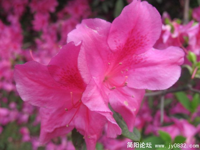 照片 428.jpg