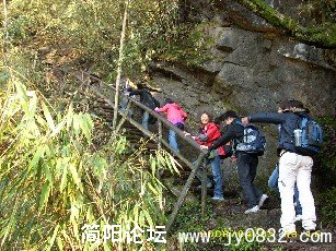 BigBull_DSCI0113.JPG