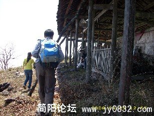 BigBull_DSCI0278.JPG