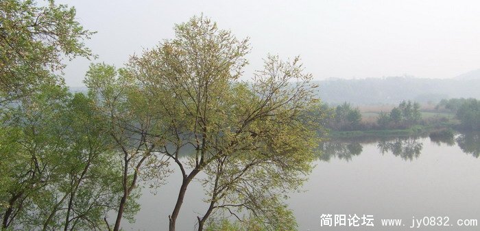 照片 027_缩小大小.jpg