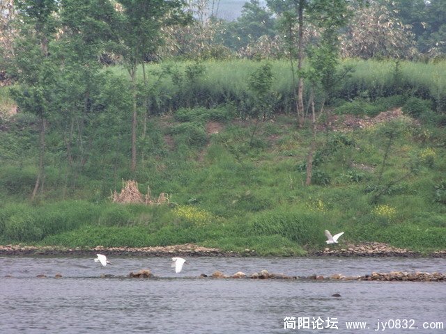 照片 104_缩小大小.jpg
