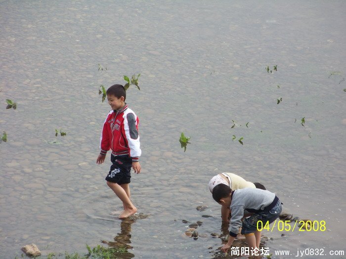 春江水暖他们先知