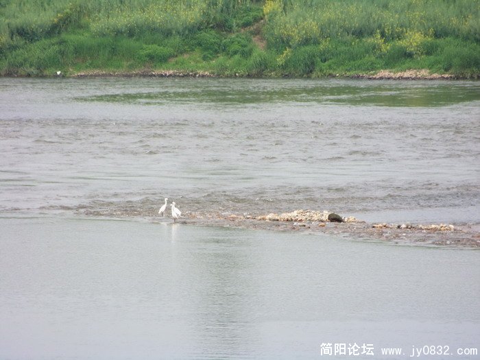 照片 090_缩小大小.jpg