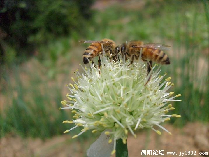 味道好极了