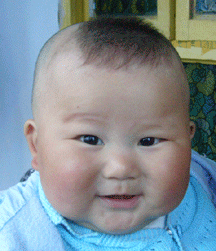S7302638.gif
