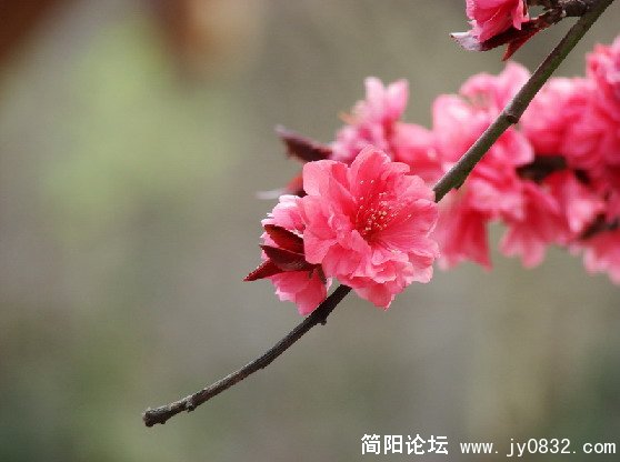 QQ截图未命名13.JPG