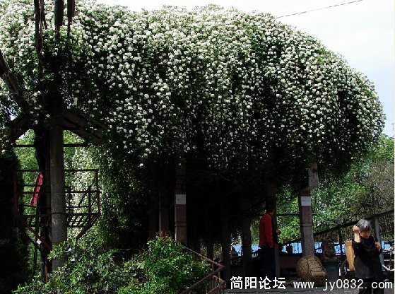 QQ截图未命名5.JPG