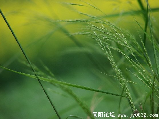 QQ截图未命名9.JPG