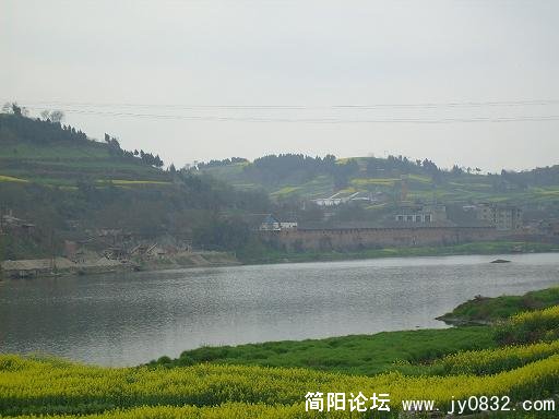 沱江河，风吹油菜花香两岸