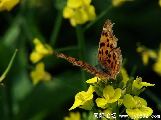 QQ截图未命名2.JPG