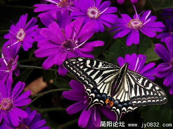 QQ截图未命名12.JPG