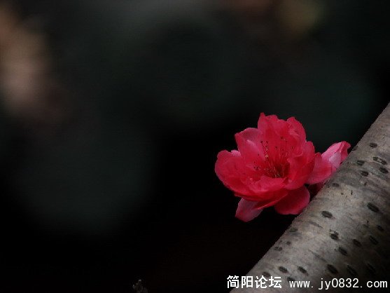 QQ截图未命名1.JPG