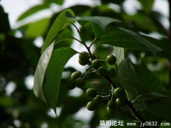 QQ截图未命名3.JPG