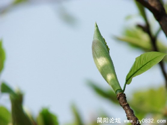 QQ截图未命名4.JPG