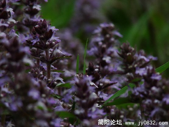 QQ截图未命名6.JPG