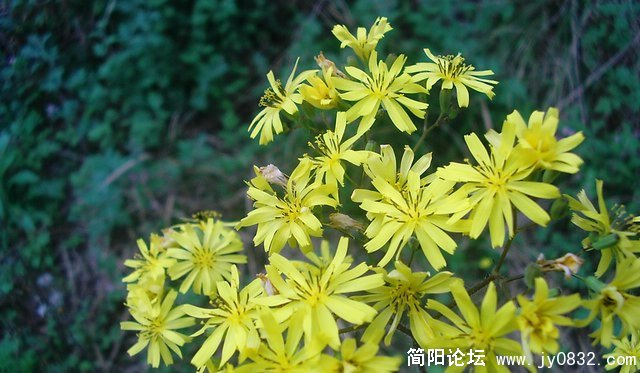 PIC_0007.JPG