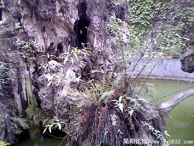 DSC_00391.jpg