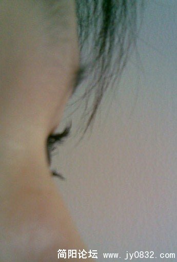 20080415-001.jpg